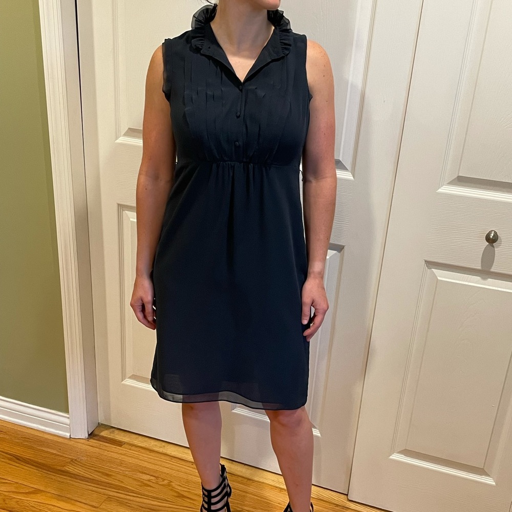 Ann Taylor Petite Dress